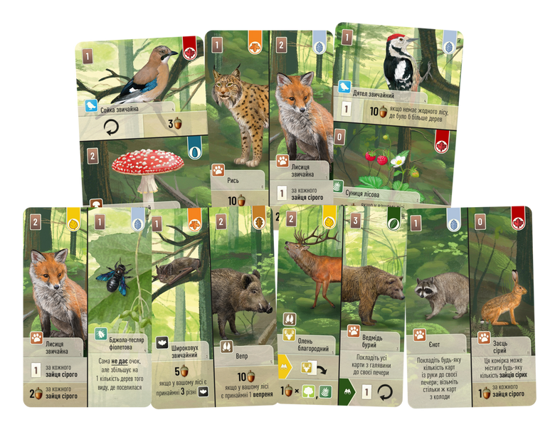 Лісова метушня (Forest Shuffle) LOB2329UA фото