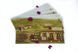 Виноробство (Viticulture Essential Edition) kg2250 фото 13