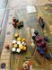 Виноробство. Тоскана (Viticulture Tuscany) kg2260 фото 16