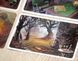Містеріум (Mysterium) igms1302 фото 12