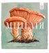 Міцелія (Mycelia) igrmg7949 фото 2